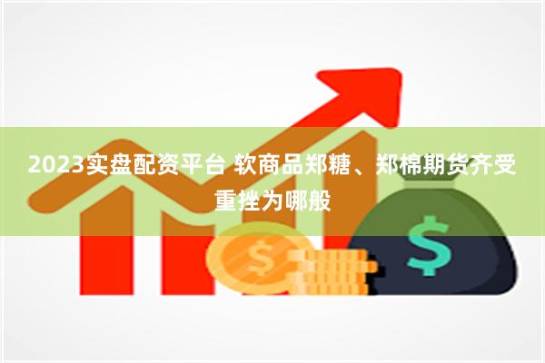2023实盘配资平台 软商品郑糖、郑棉期货齐受重挫为哪般