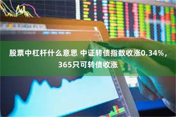 股票中杠杆什么意思 中证转债指数收涨0.34%，365只可转债收涨