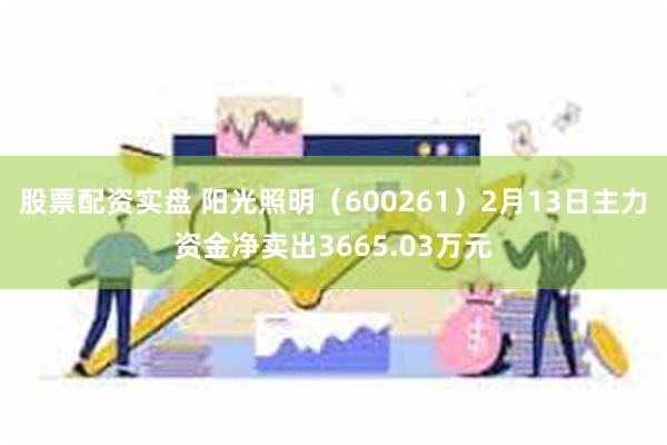 股票配资实盘 阳光照明（600261）2月13日主力资金净卖出3665.03万元