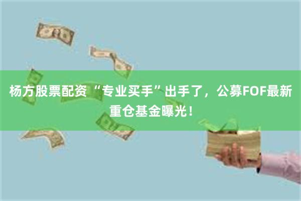 杨方股票配资 “专业买手”出手了，公募FOF最新重仓基金曝光！