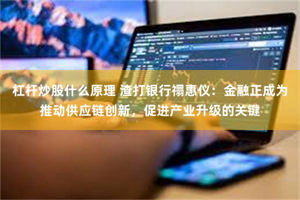 杠杆炒股什么原理 渣打银行禤惠仪：金融正成为推动供应链创新，促进产业升级的关键